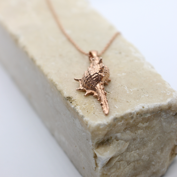 Conch shell in rose gold