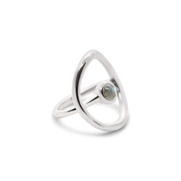 Around the world ring silver