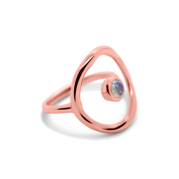 Around the world ring in rose gold