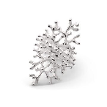 Table coral ring