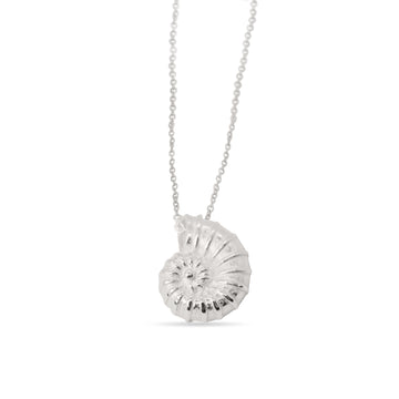 Nautilus in silver