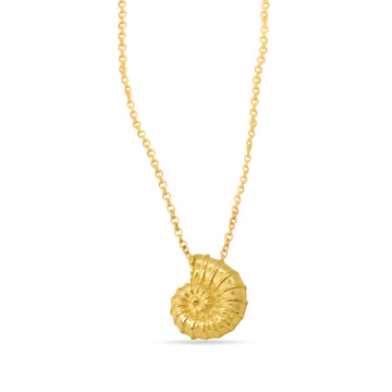 Nautilus in gold