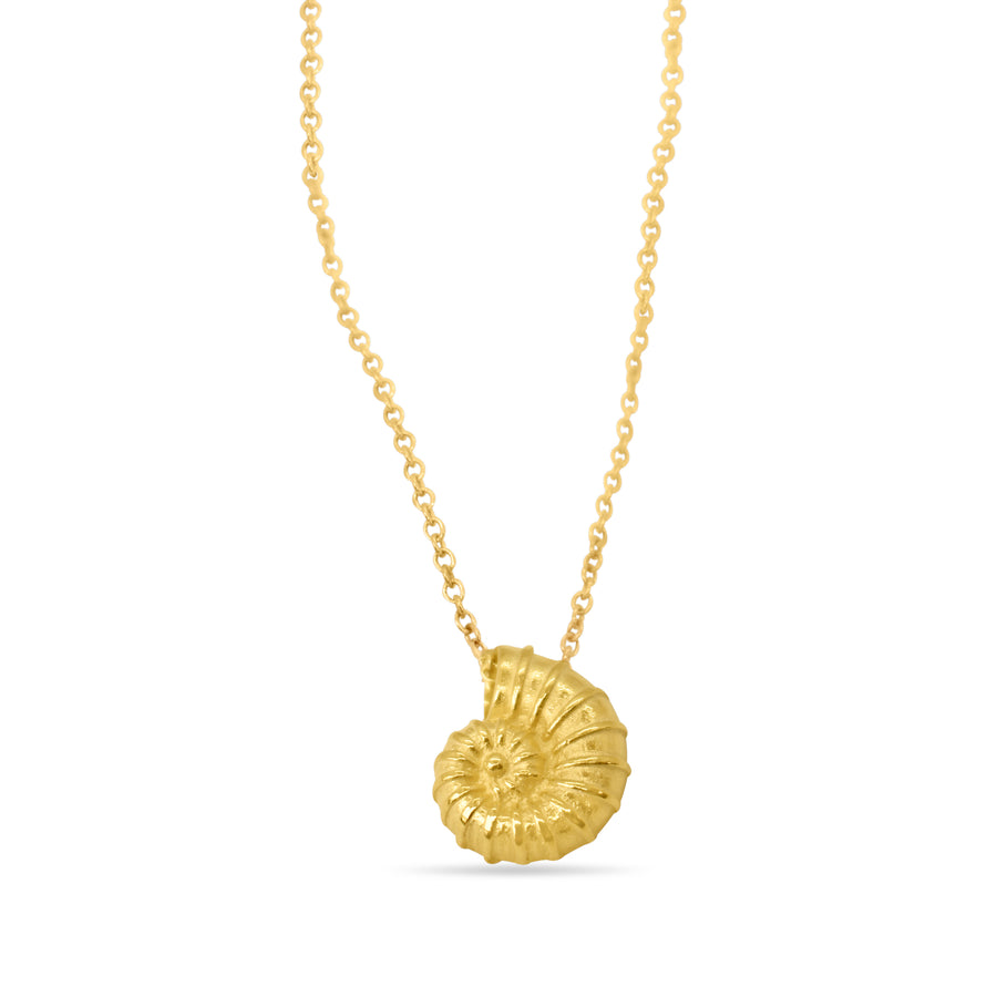 Nautilus in gold