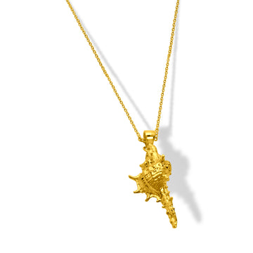 Conch shell in gold