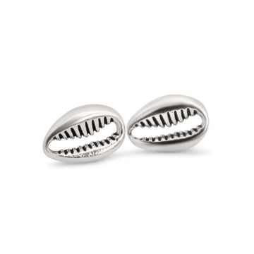 Cowrie shells stud earrings