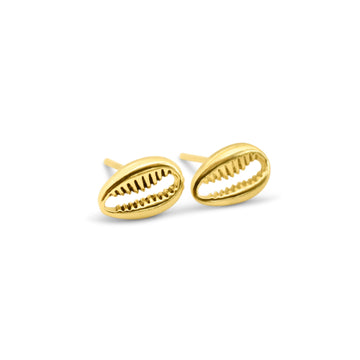 Cowrie shell studs in gold